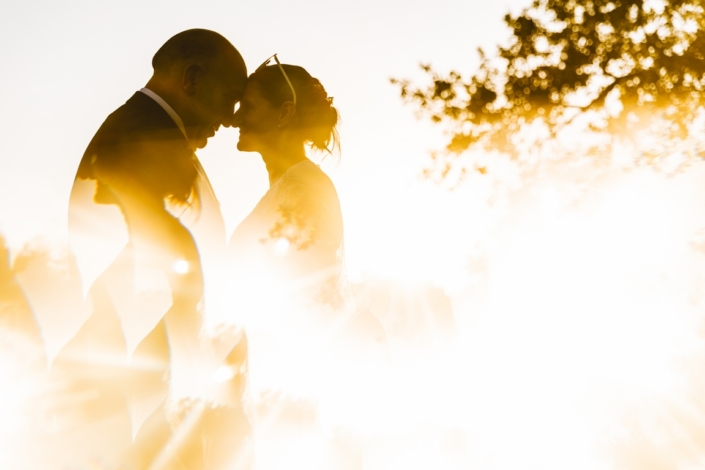 lmazalrey mariage c&m-935 (Copier)